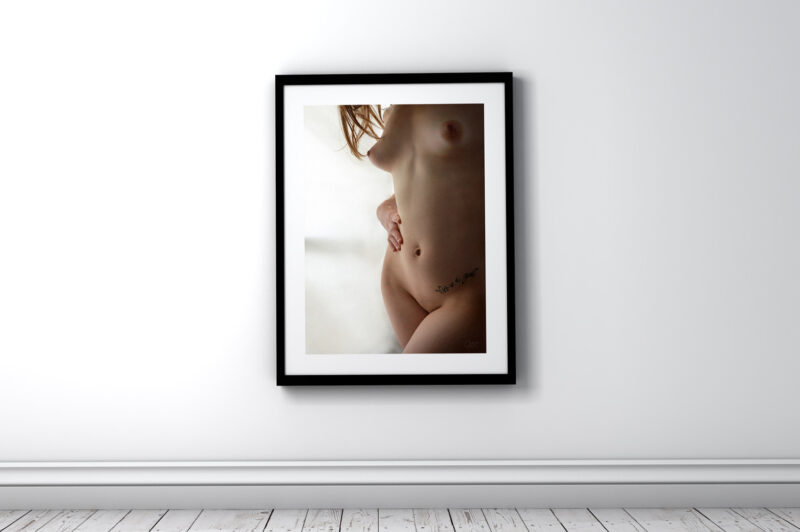 photo non contractuelle